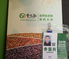 云之谷農業 金沙谷產品引領綠色農業新篇章