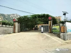 金沙谷里尋年味——故鄉的年貨記憶與新春期盼